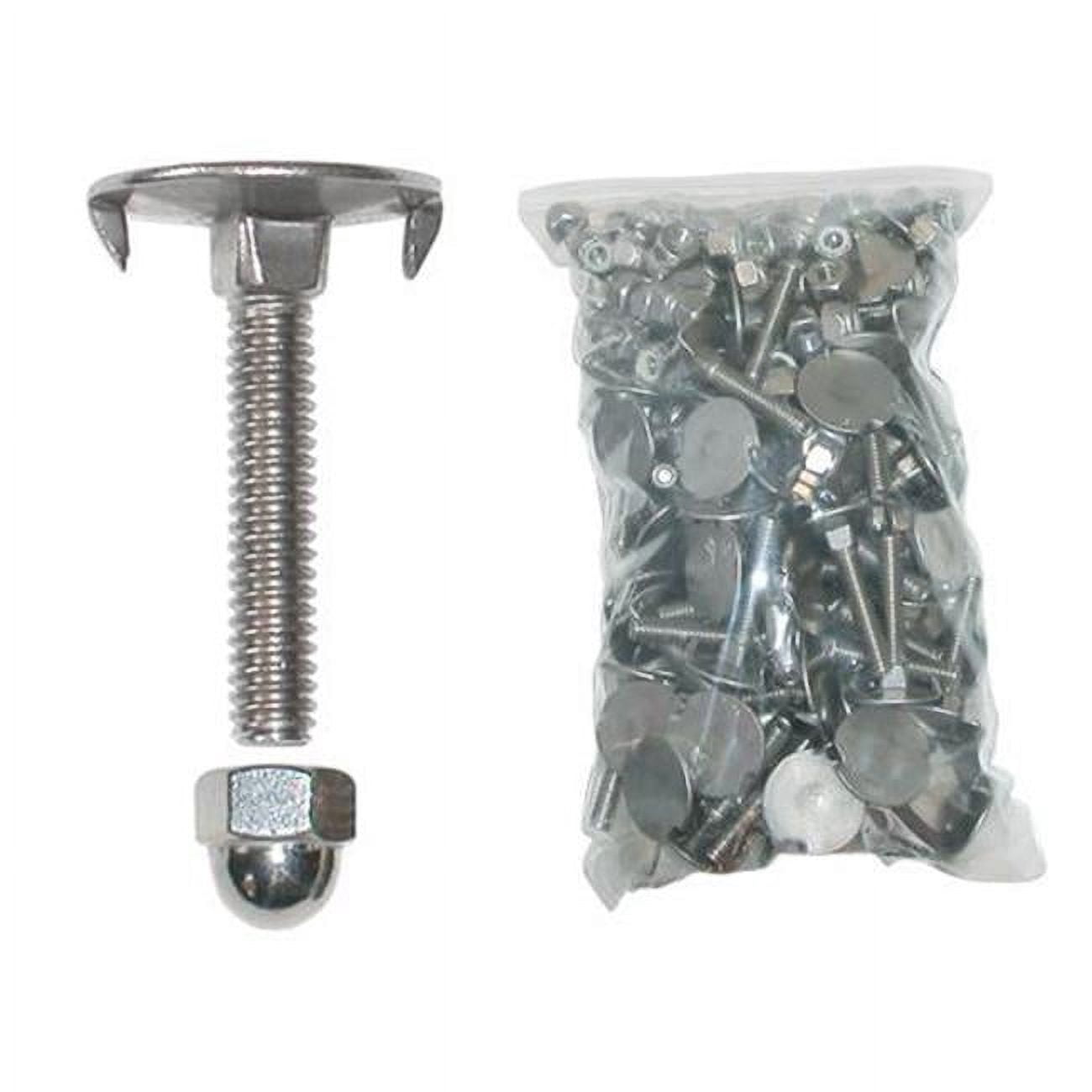 1.5 X .25 Pontoon Deck Stainless Bolt Kit 100/Bag