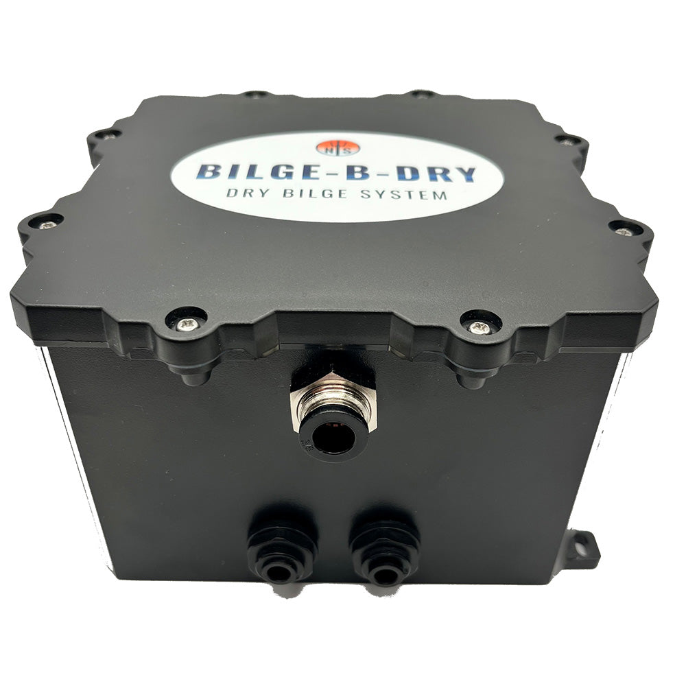 Bilge-b-dry Dual Pump