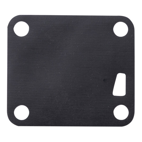 Fuel Pump Diaphragm