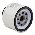 Canister FWS Filter - 10 Micron