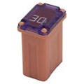 Micro Female Time Delay F