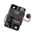 Circuit Breaker  100 Amp