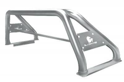 Classic Roll Bar Stainless Steel