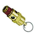 Valve Safety 1/4 125 PSI