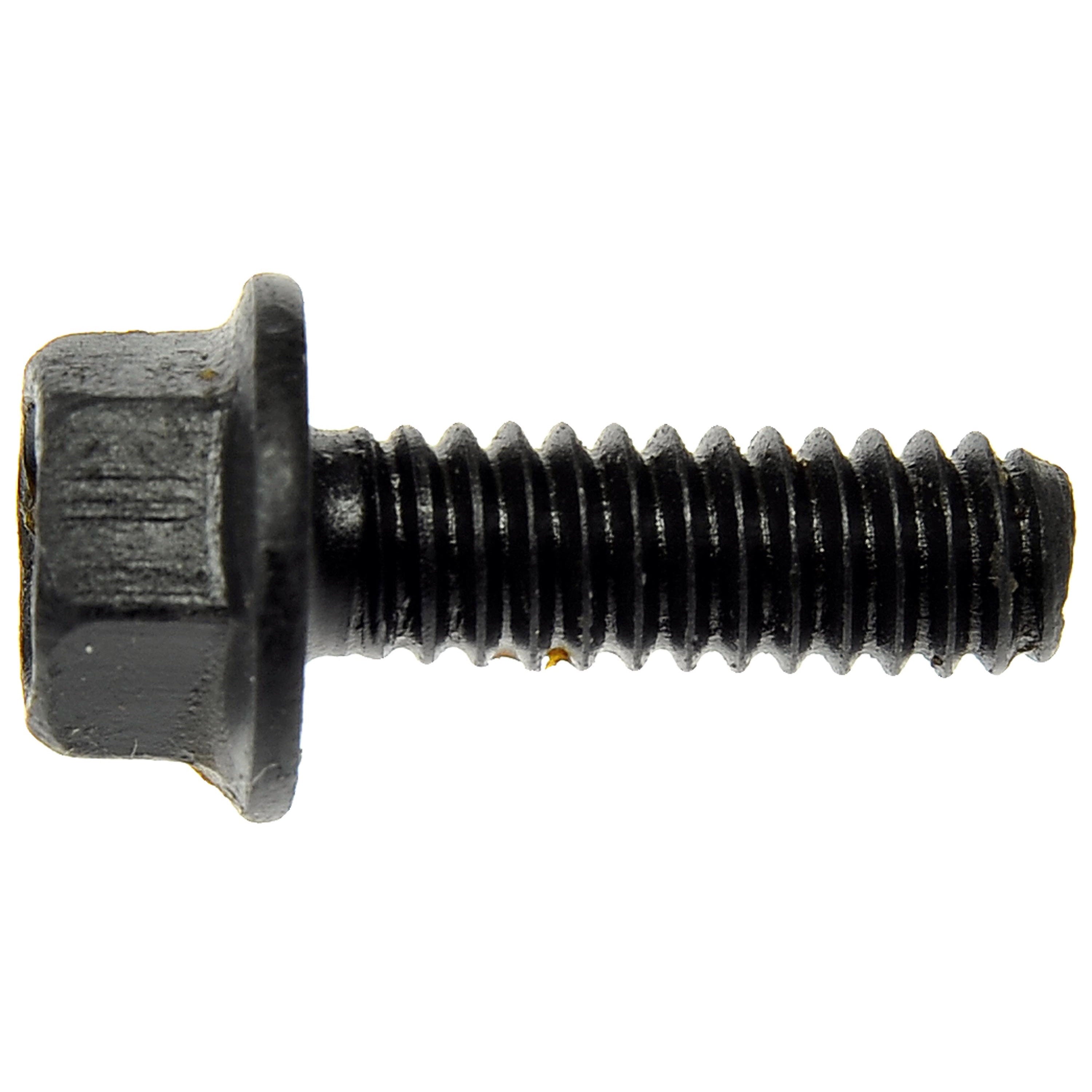 Cap Scrws 1/4-20X3/4