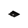 Capture Plate