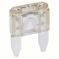 5PK BP/ATM-20 Fuses