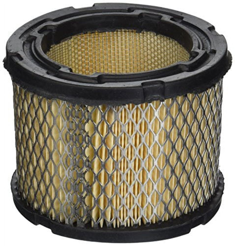 Onan Air Filter Element