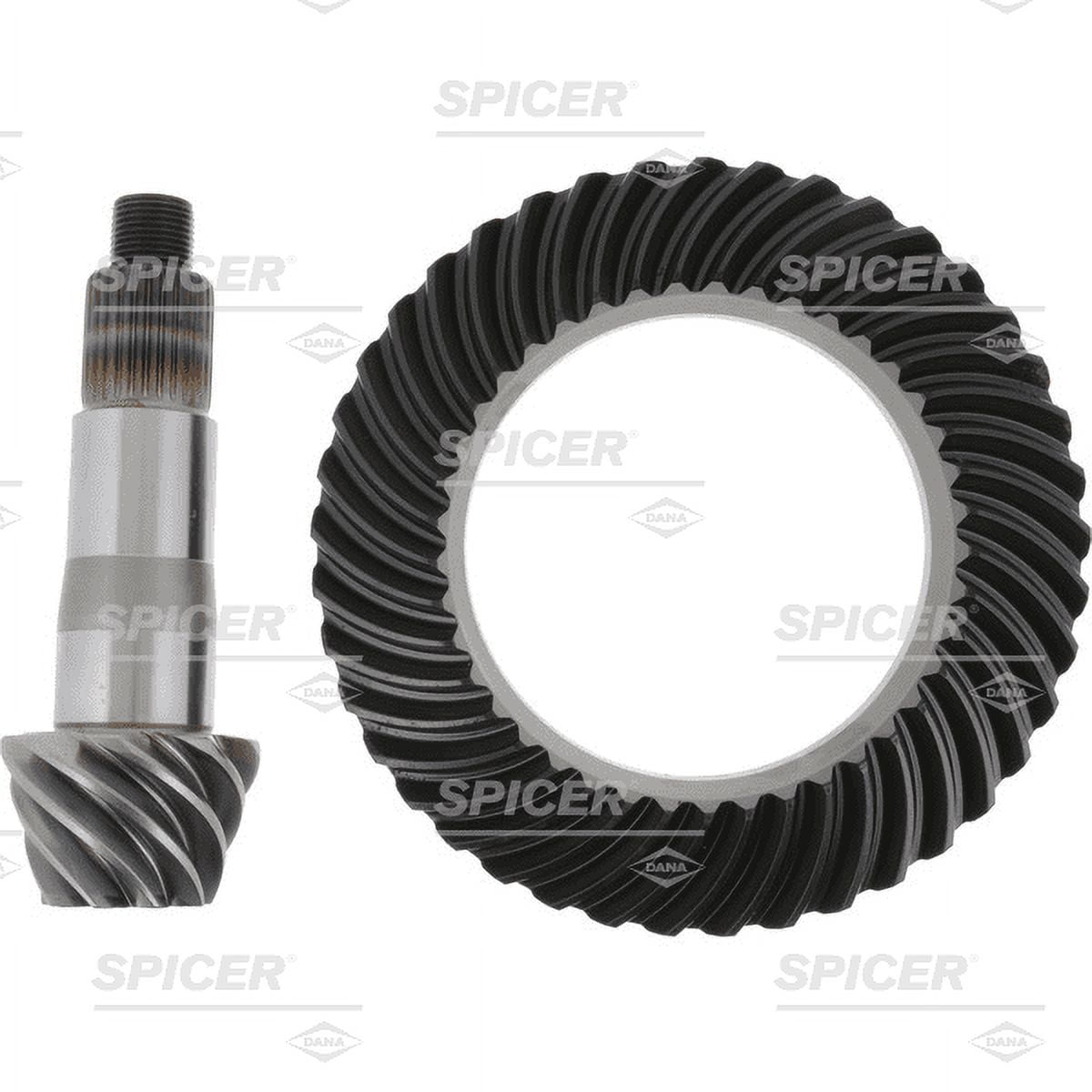 Differential Ring and Pinion Dana