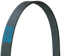Poly Rib Belt Dayco Gold Label