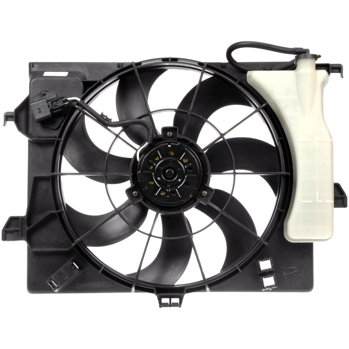 Rad Fan Assembly
