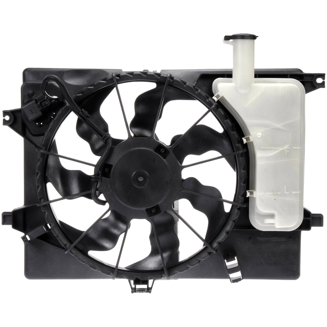 Rad Fan Assembly