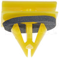 Molding Retainer