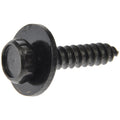 Body Bolt