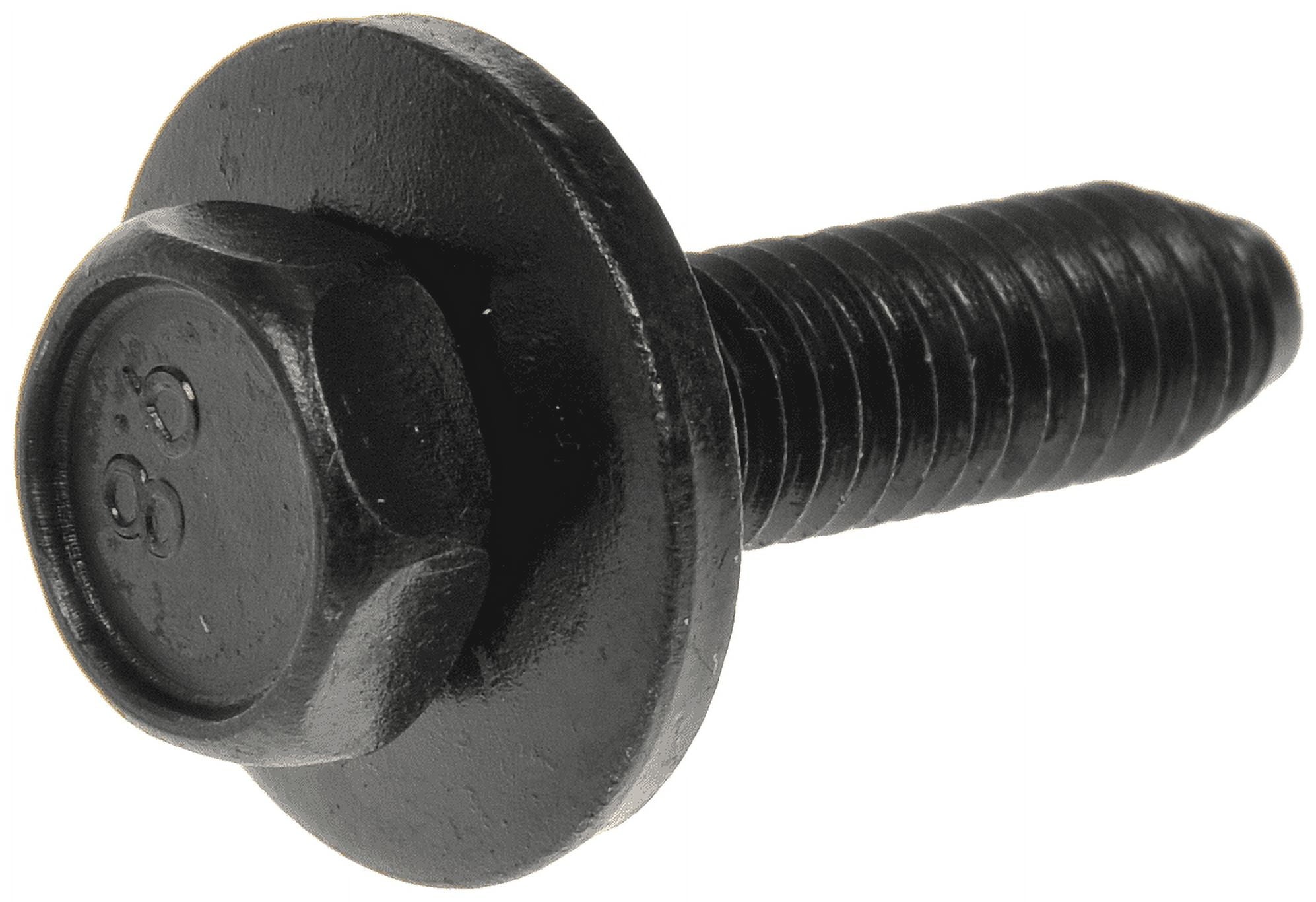 Body Bolt