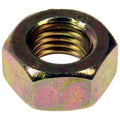 Hex Nut