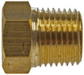 Pipe Plug 1/8