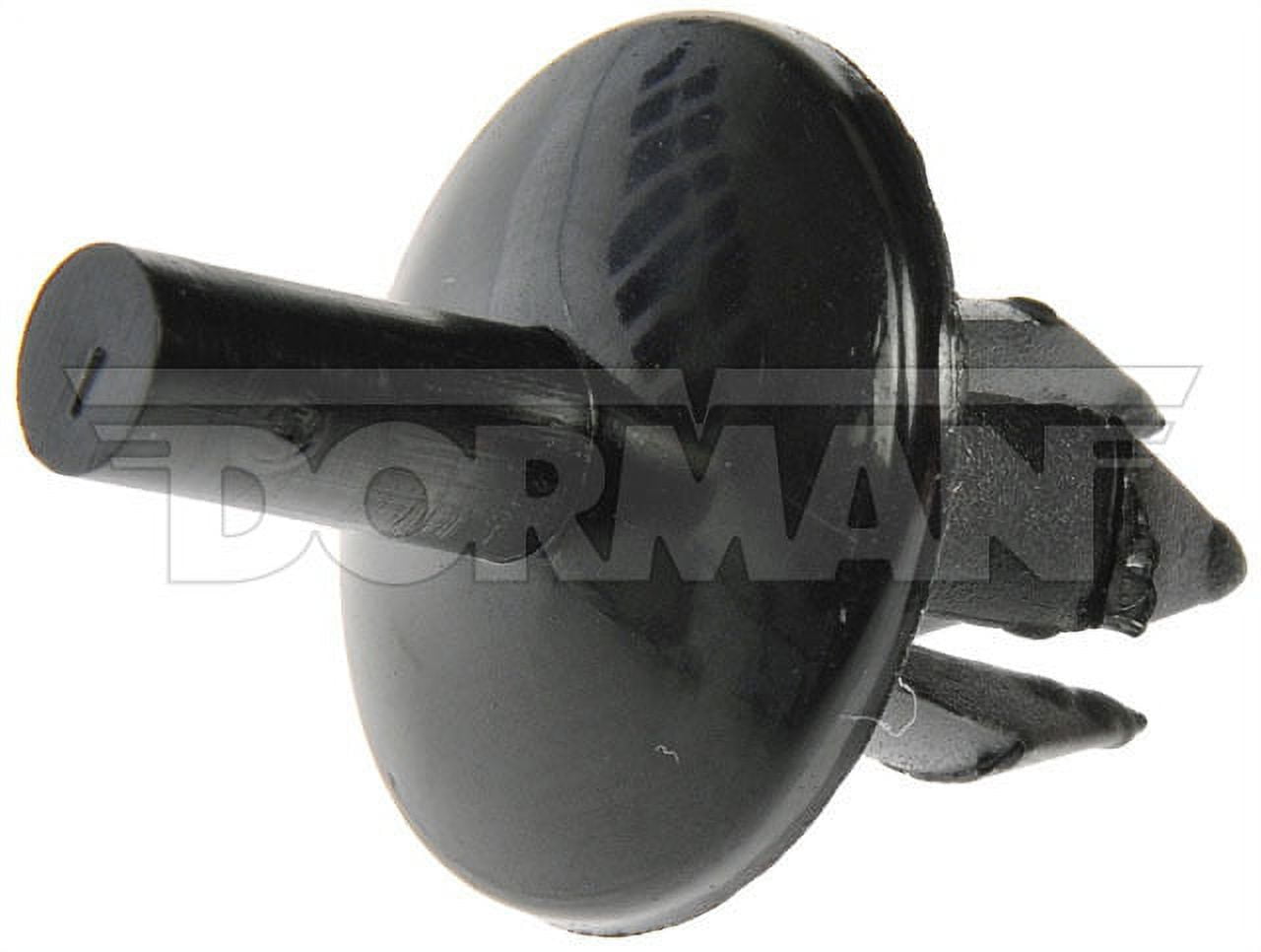 Push Rivet