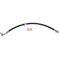 OE Replacement