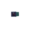 40AMP Female Maxi-Fuse LP