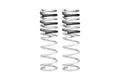 Pair of 2 Springs