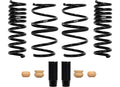 Pro-Kit Performance Springs (Set of