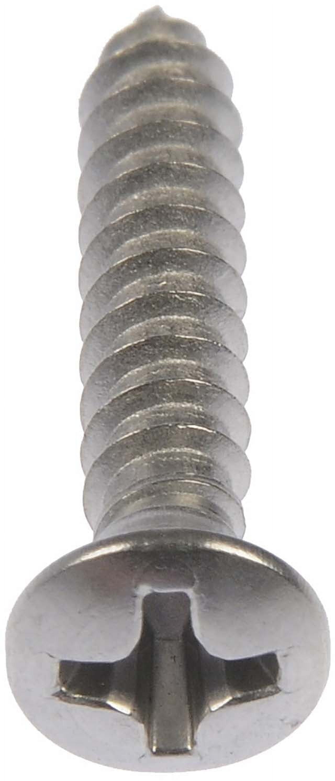 S/Tap Scr SS #6X1/2  3/4