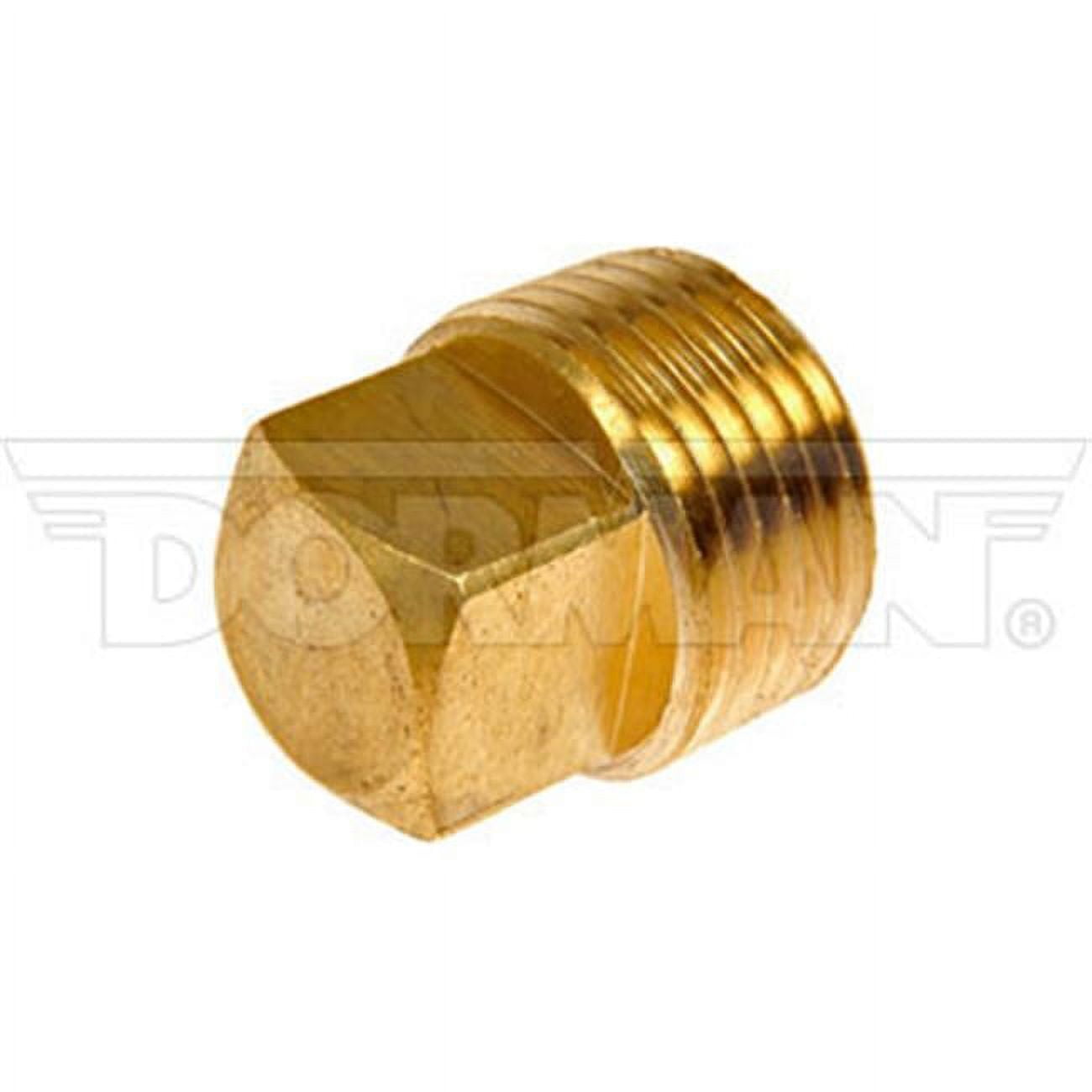 Pipe Plug