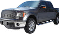 Winter Front / Bug Screen Ford Rang