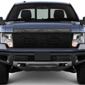 18 F150 Winter Frnt Bugscreen