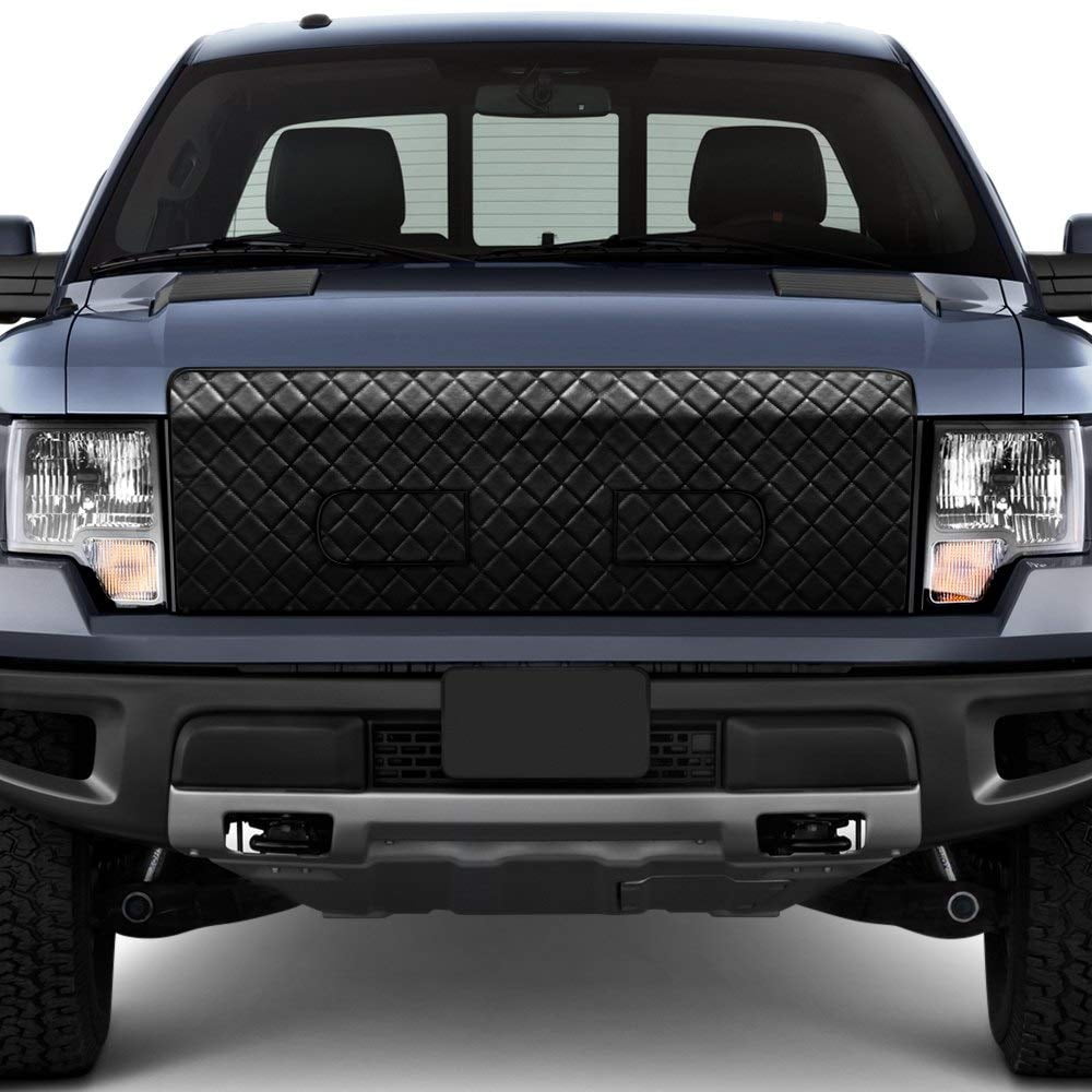 18 F150 Winter Frnt Bugscreen