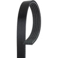 V-Ribbed Belt
