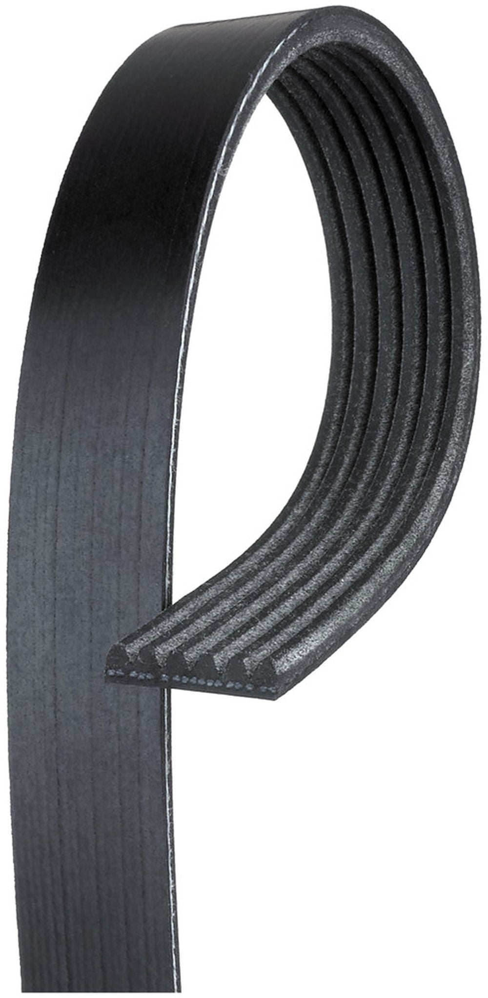 V-Ribbed Belt