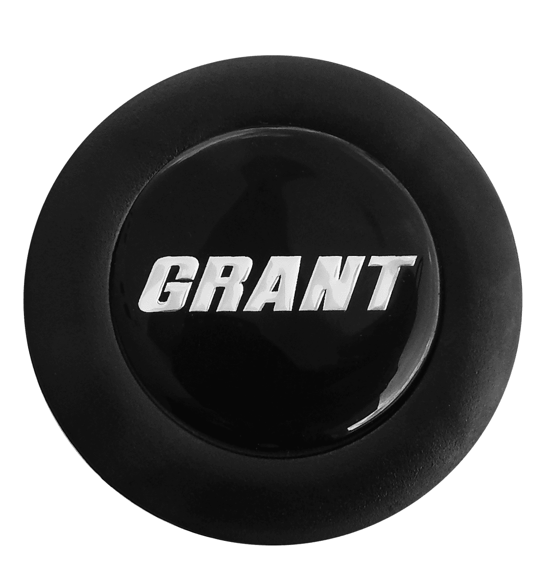 Black Plastic Center Cap