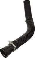 Curved Radiator Hose
