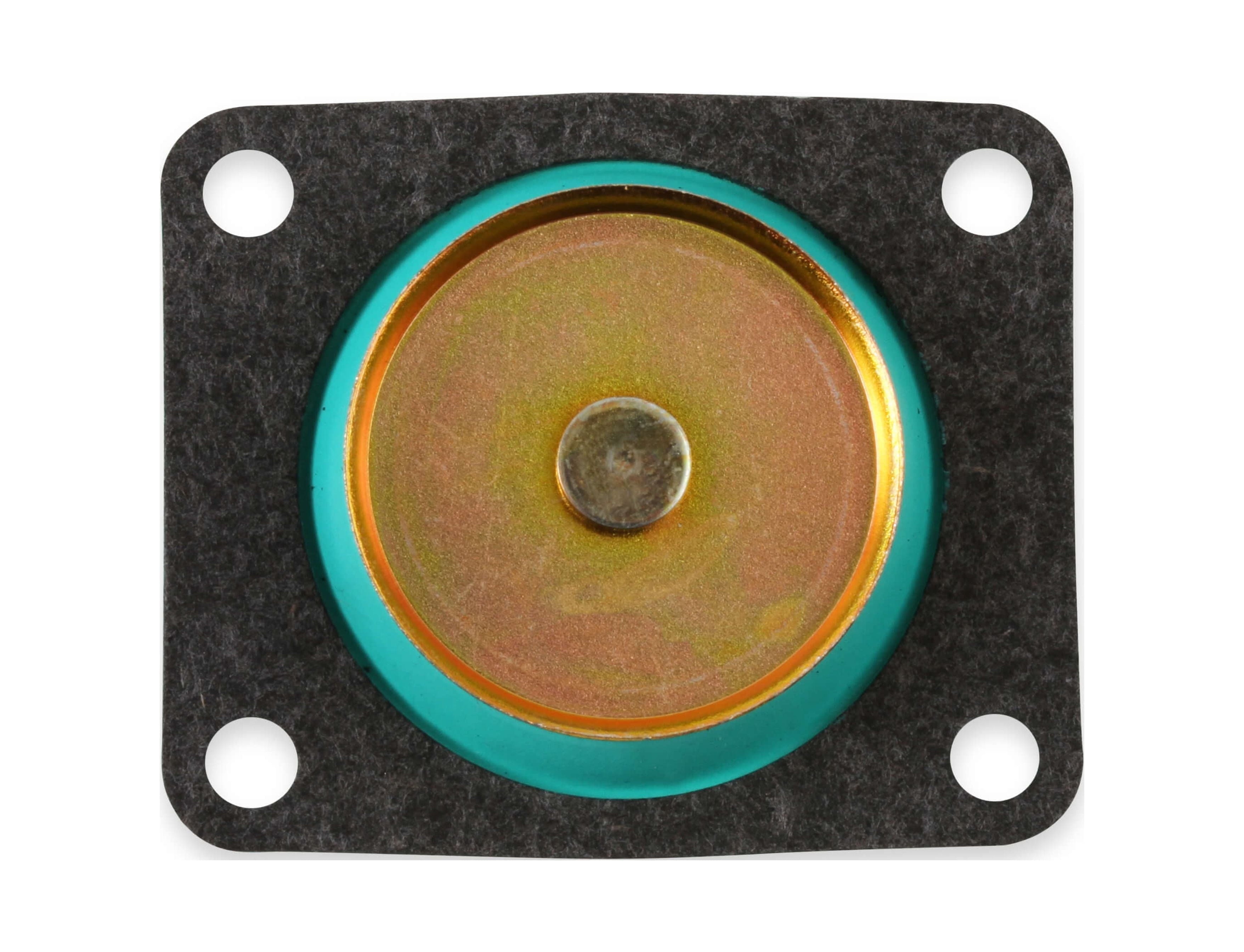 135-10 Diaphragm Assmb