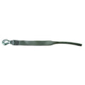 Winch Strap W/Tail-2" X 15 Ft