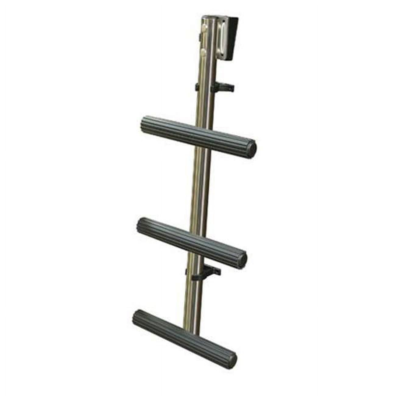 3-Step Dive Ladder Stainless W/Hardware