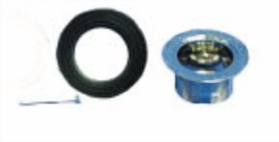 1-1/2' Flat Strainer