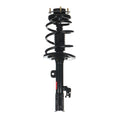 Quick-Strut Assembly
