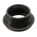 Oil Seal