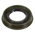 Oil Seal