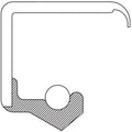 Oil Seal