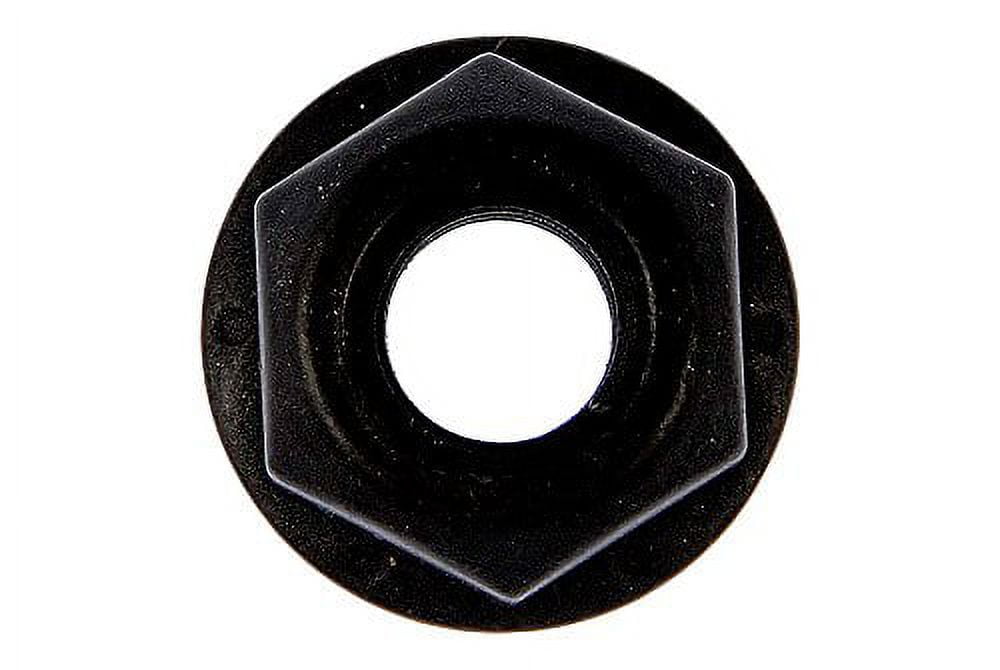 Hex Nuts 1/4-20