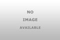 Pal Auto Link 5CDS/PACK