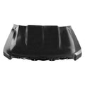Cowl Hood PANEL;09-14 F15