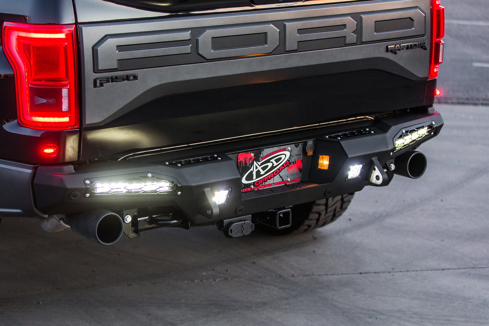 2017 - 2020 Ford Raptor HoneyBadger Rear Bumper