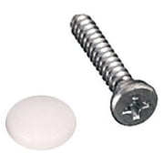 14PK Dash Screws W/ Caps