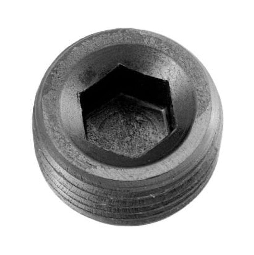 NPT Plug