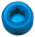 1/2 Pipe Plug